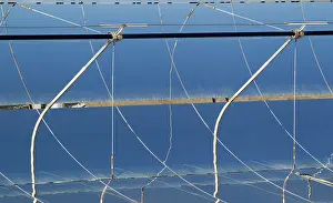 Collectors: Cylindrical Parabolic Collectors - generating energy