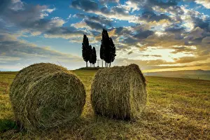 Tuscany: Cypresses, sunrise, San Quirico d'Orcia, Val d Orcia