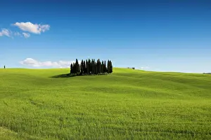 Tuscany: Cypresses, Val d Orcia, Orcia Valley, UNESCO World Heritage