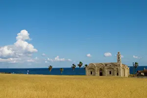 Pavan: Cyprus, Karpas peninsula, Ayios Thyrsos