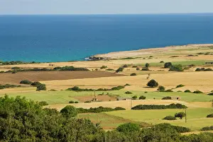Pavan: Cyprus, Karpas peninsula, view near Cape