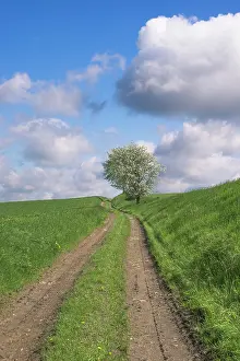 Unpaved: Czech Republic, Bohemia, Dirt Road and Apple