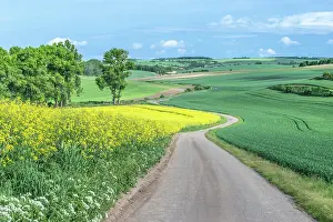 Moravia: Czech Republic, Moravia, Spring Farm Fields