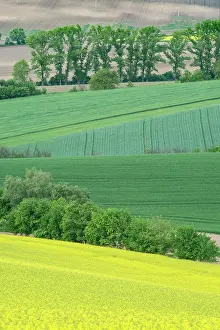 Moravia: Czech Republic, Moravia, Spring Farm Fields
