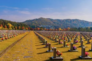 Decorated: Daejeon, South Korea, November 3, 2019: Rows of