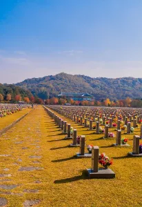 Decorated: Daejeon, South Korea, November 3, 2019: Rows of