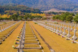 Decorated: Daejeon, South Korea, November 3, 2019: Grass turning