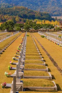 Decorated: Daejeon, South Korea, November 3, 2019: Grass turning