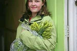 Joyful: Daffodil