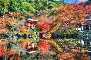 Acer: Daigo-ji temple in autumn in Ky&, x134bec; Japan