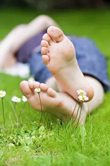 Blissful: Daisy