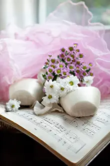 Skirt: Daisy