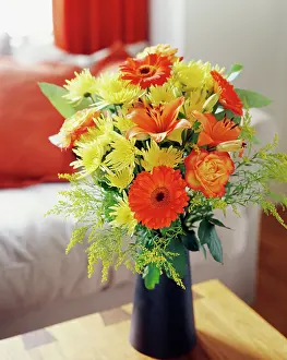 Chrysanthemum: Daisy, Chrysanthemum, Floral arrangment with orange