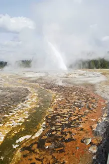 Geysers: Daisy Geyser with colourful run off