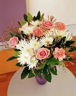 Chrysanthemum: Daisy, White Chrysanthemum, pink roses and carnations
