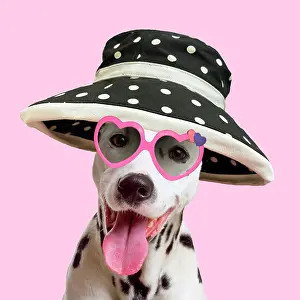 Glasses: Dalmatian Dog - wearing spotted wide brimmed hat