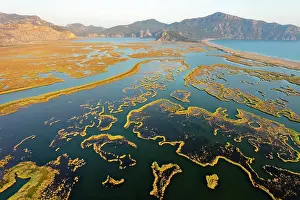 Intricate: Dalyan, Koycegiz, Mugla, Turkey