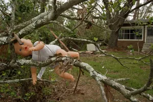 Hurricane: Damage caused by Hurricane Katrina - toy doll in tree