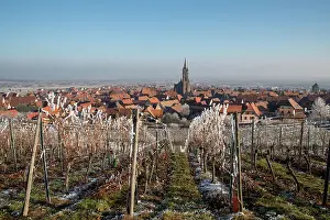 Sylvain Cordier: Dambach-la-Ville