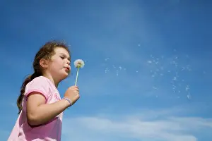 Childhood: Dandelion clock
