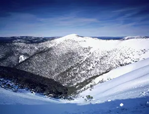 Snowfield: Dargo High Plain (Mt Hotham snowfield)