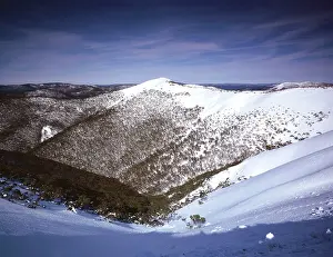 Snowfield: Dargo High Plain (Mt Hotham snowfield)