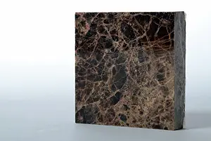 Petrology: Dark Emperador Marble