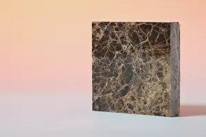 Petrology: Dark Emperador Marble