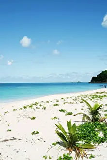 Tondini: Darkwood Beach, Antigua, West Indies, Caribbean