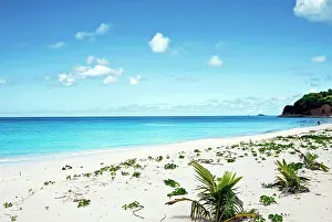 Tondini: Darkwood Beach, Antigua, West Indies, Caribbean
