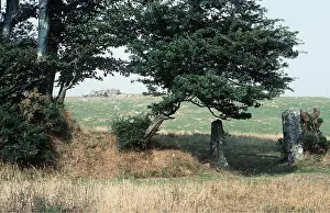 Moors: DARTMOOR TOR