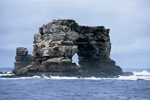 Equador: Darwin's Arch a dramatic 50-foot tall natural lava arch rise
