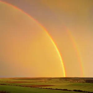Prismatic: Date: 24-07-2019