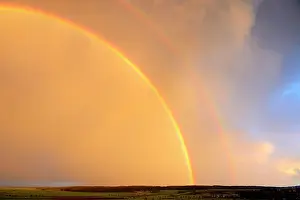Prismatic: Date: 24-07-2019