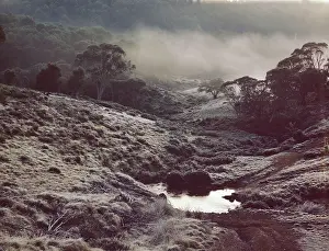 Davies: Davies Plain High Country North East Victoria