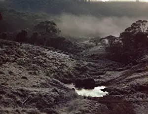 Davies: Davies Plain, High Country, Northeastern Victoria, Australia
