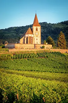 Alsatian: Dawn at the 15th century church of St. Jacques
