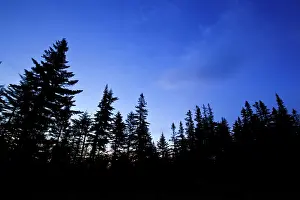 Jerry: Dawn at Caribou Pond in Crocker Cirque at