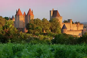 Fortified: Dawn in a vineyard overlooking la Cite Carcassonne
