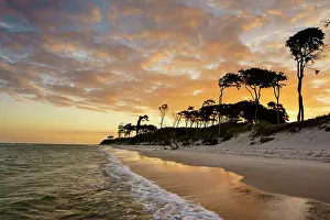 Darss: Dawn at the western beach Dar&, x7ec; Western Pomerania