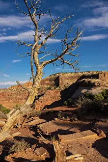 Utah: Dead Horse State Park. Utah, USA