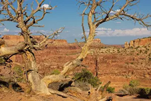 Utah: Dead Horse State Park. Utah, USA