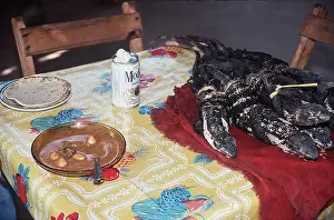 Meat: Dead Iguanas on table by Iguana Egg & Meat Soup