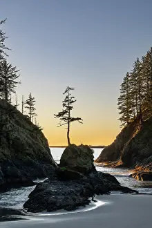Danita Delimont: Deadman's Cove at Cape Disappointment State Park in