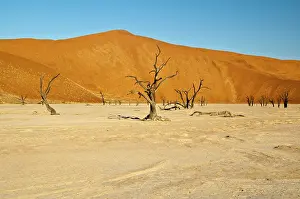 Deadvlei: Deadvlei - dead trees and dunes