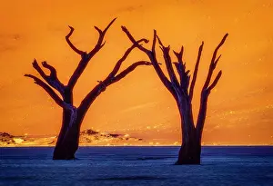 Petrified: Deadvlei, Namibia, Africa. Portrait of two 700 year old