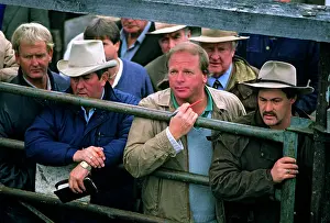 Buying: Dealers at cattle saleyard Bendigo