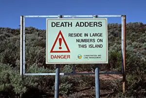 Acanthophis: Death ADDER sign - Snake warning