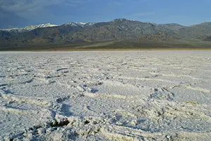 Polygonal: Death Valley Salt Pan