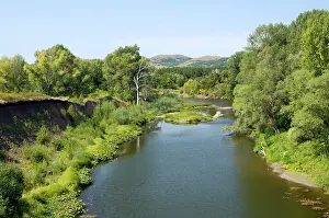 Ural: Deciduous forest in river Sakmara valley (a tributary